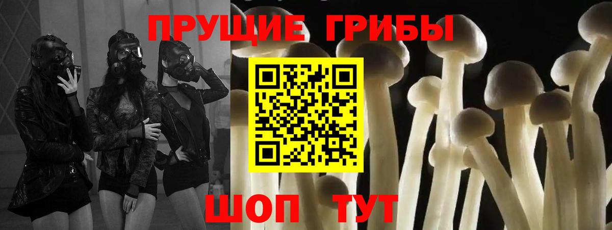 Десногорск  Галлюциногенные грибы мицелий  наркота  Вход с VPN 